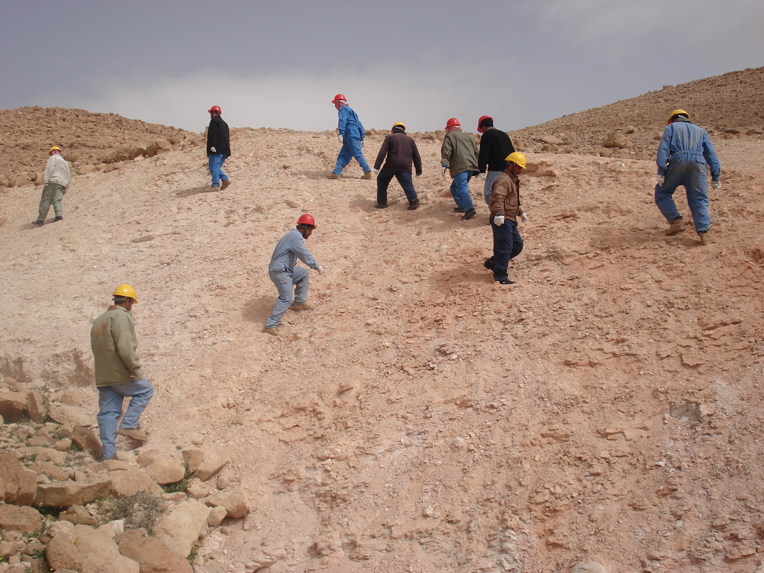 MountainGates seismic operations